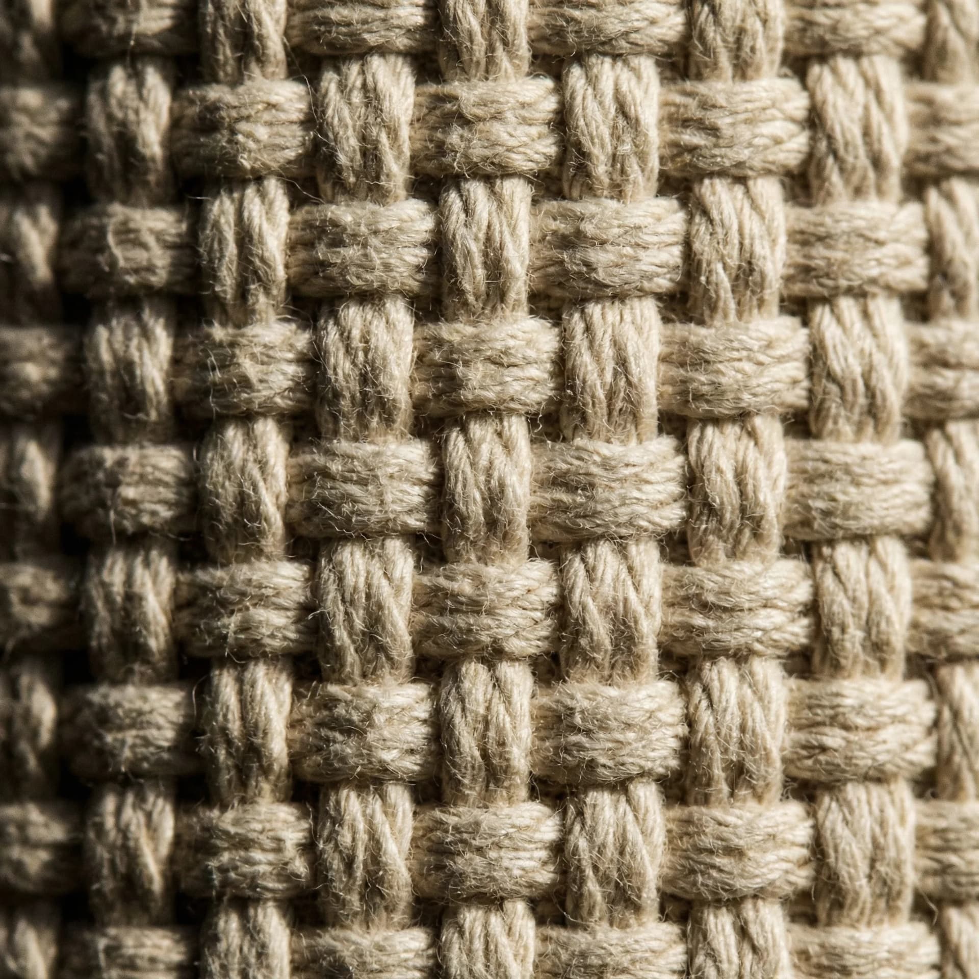 Cotton Canvas
